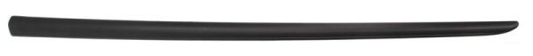 Left Front BLIC 5703-04-2024571PP Trim/Protection Strip, wing for FIAT