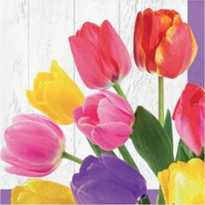 Tulip Bouquet Lunch Paper Napkins 16 Pack Flowers Floral Spring Tableware