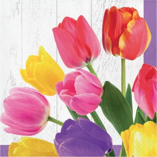 CREATIVE CONVERTING Tulip Bouquet Lunch Paper Napkins 16 Pack Flowers Floral Spring Tableware