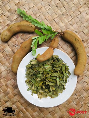 Dried TAMARIND LEAVES Organic Pure Whole Tamarind Leaf 50g (1.76oz) Natural Herb