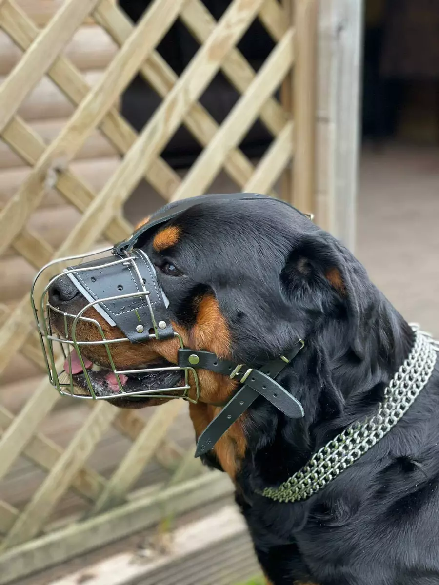 New Metal STRONG Wire Basket Dog Muzzle Rottweiler Mastiff Golden Retriever etc