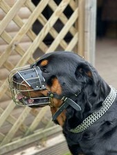 New Metal STRONG Wire Basket Dog Muzzle Rottweiler,Mastiff Golden Retriever etc