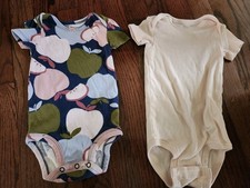 MIXED LOT OF INFANT GIRL'S CLOTHING: BODYSUITS, SHIRT, SHORTS, PANTS CARTERS 9M