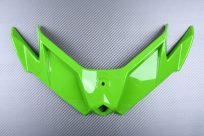 Spoiler Flosse/Winglet/DownForce Grün für KAWASAKI NINJA 300 R EX300A 2013-2017