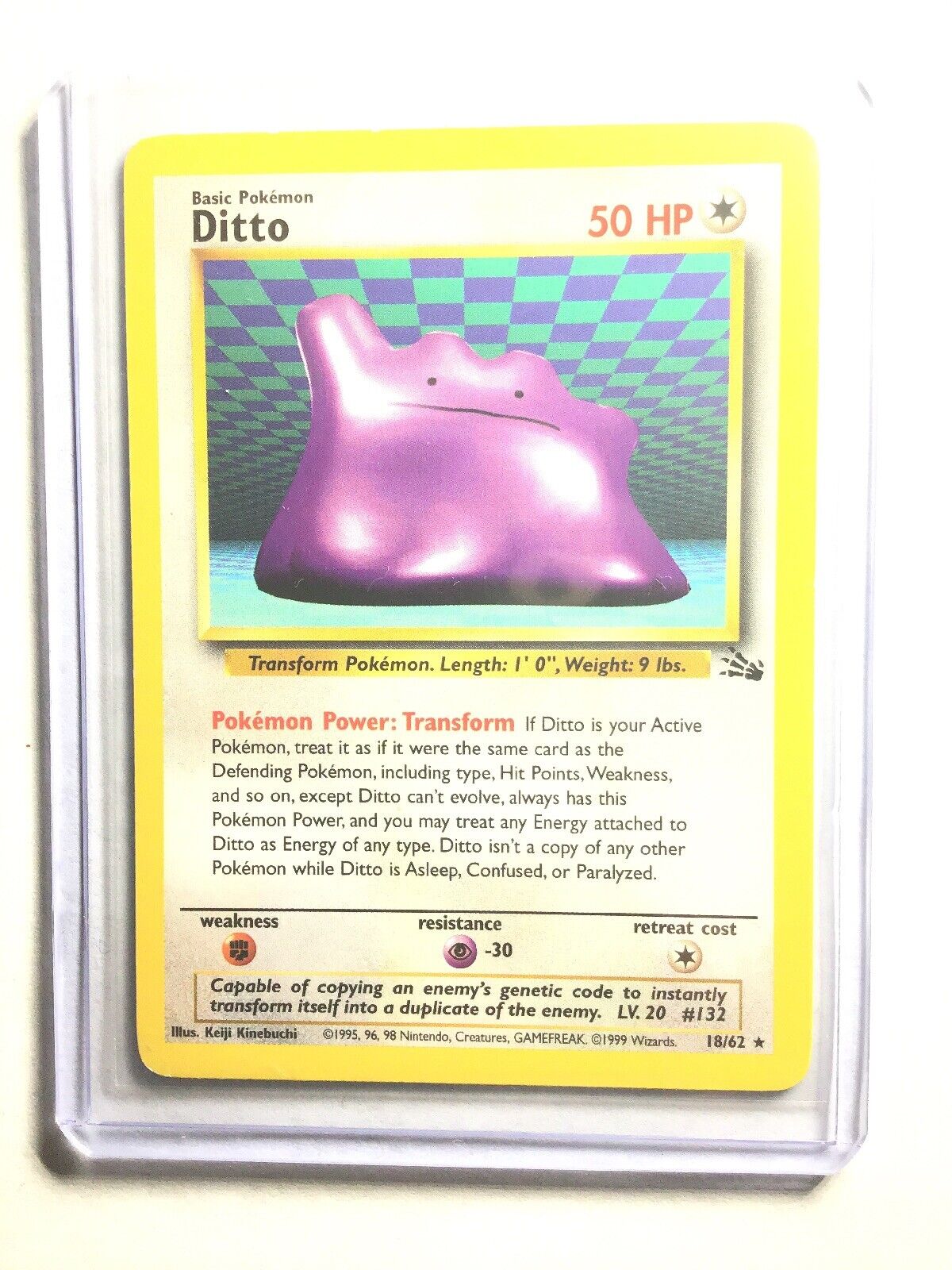 Ditto, Fossil