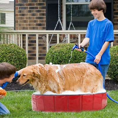 collapsible dog bath tub