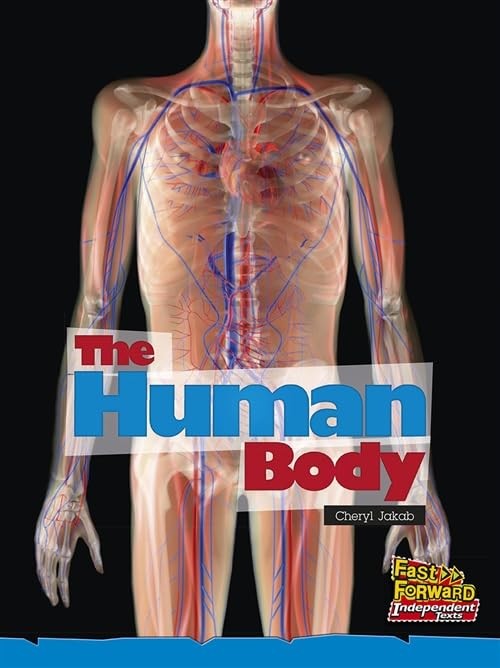 The Human Body Cheryl Jakab - Image 5