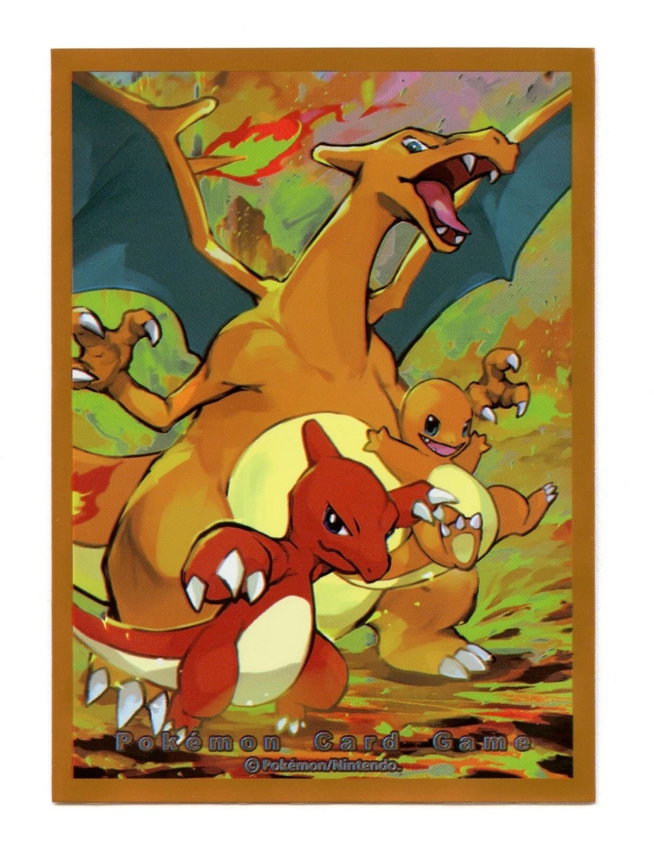 pokemon trading card games fall team rocket tin Charizard Pokemon Card Binder for Collectors | 360 Cards