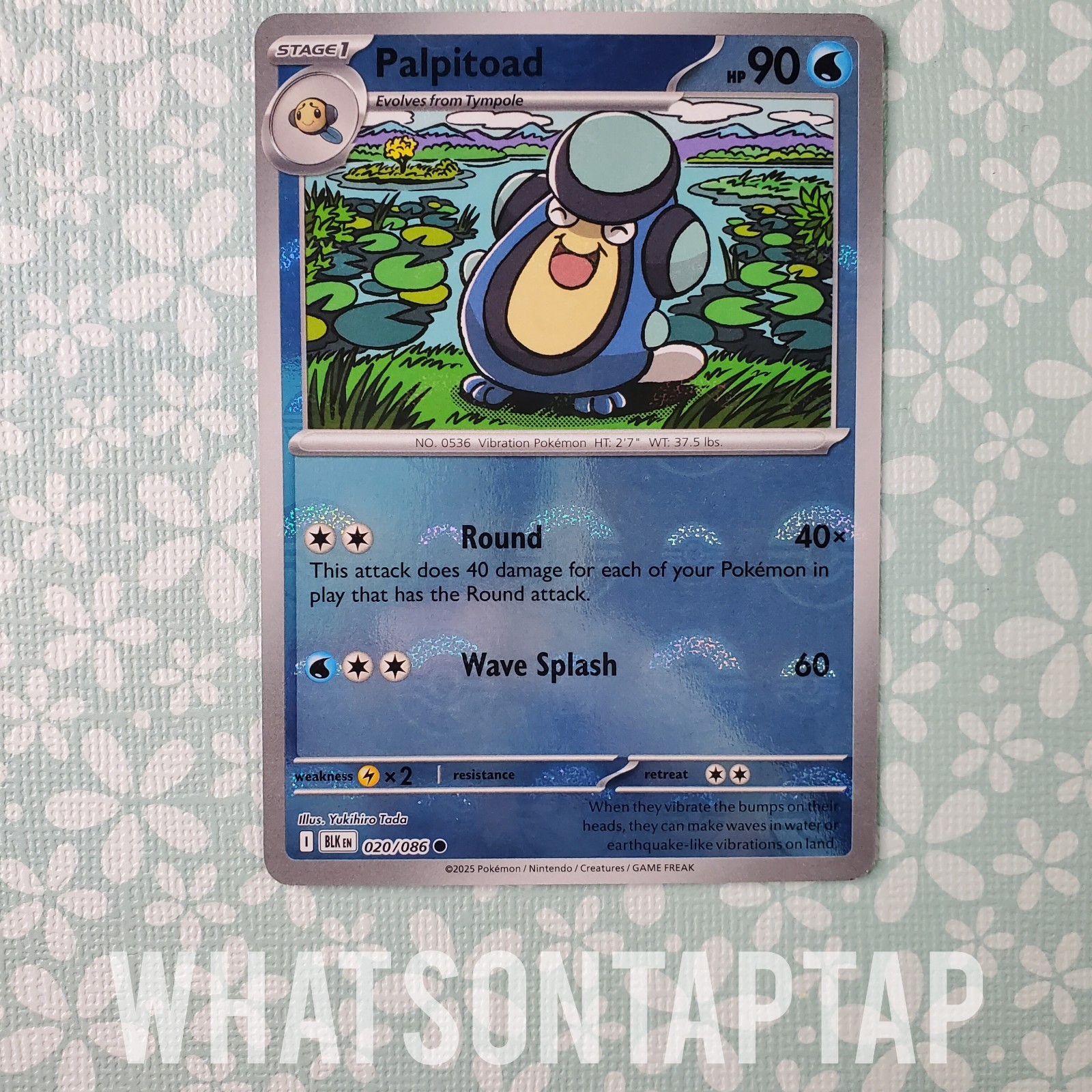 Pokemon Card Palpitoad 020/086 Poke Ball Rare Common Scarlet Violet Black Bolt