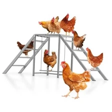 Chicken Coop Perches with Swing, Chicken Roosting Bars, Chicken Run 