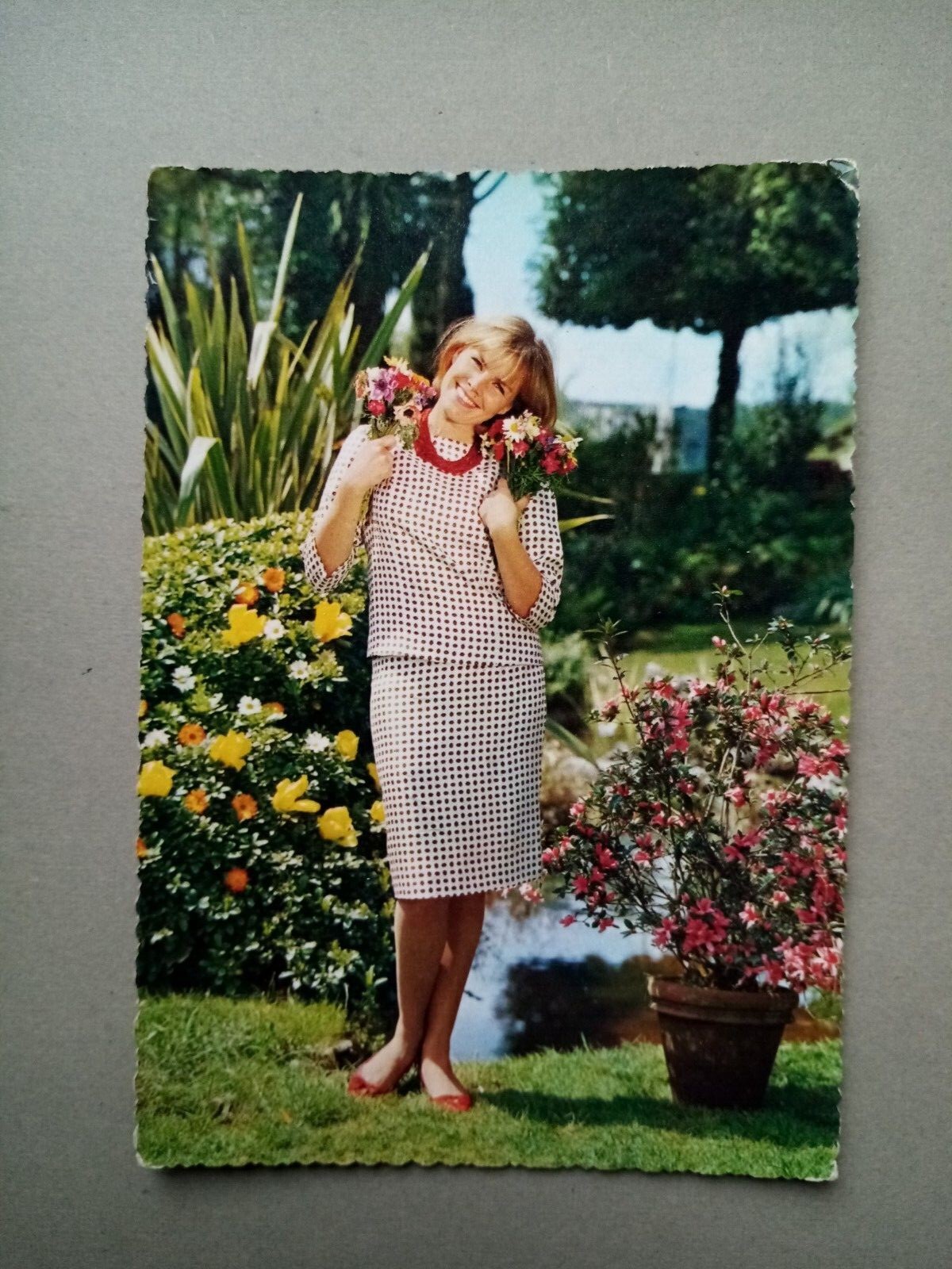 Foto 74 di 80