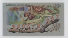 2020 Topps Allen & Ginter Chrome Mini Buggin' Out! Australian Walking Stick 1b8