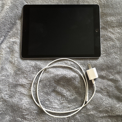 Apple iPad 6th generation 9.7in 32GB Wi Fi Silver w/Charging Cable bundle