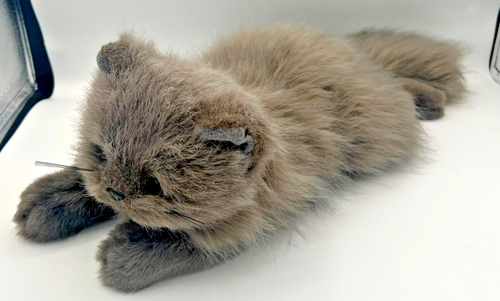 Ty Classic Cat 1999 Gray 18” Plush Persian Kitten Gold Eyes JBX20
