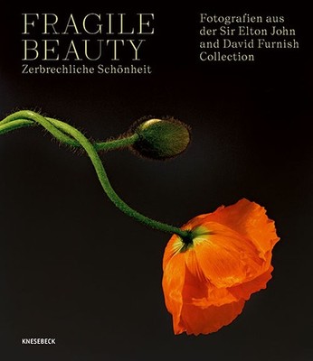 Duncan Forbes; Newell Harbin; Lydia Caston; Sam Taylor-Johnson / Fragile Beauty