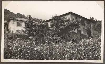 Foto Portugal Madeira São Vicente Landhaus Landwirtschaft 1934