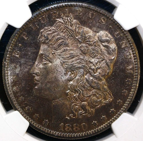 1880 S Morgan Silver Dollar Nice Toning $1 - NGC MS64
