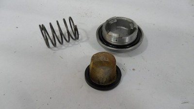 YAMAHA OIL SCREEN STRAINER SPRING COVER CAP TW200 BIG BEAR TRACKER 250 TW TTR230