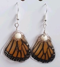 Real Monarch butterfly wing earrings