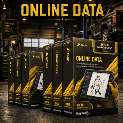Haynes Pro WorkshopData ONLINE DATA - KFZ PKW LKW Datenbank Reparaturanleitung 