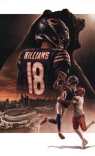 2 tix W/ LOT D PARKING PASS! NFL CHICAGO BEARS vs TAMPA BAY BUCCANEERS