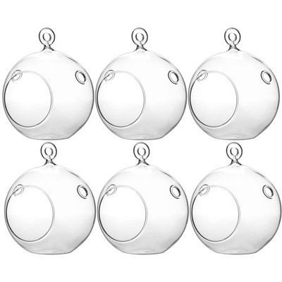 DIY Hanging Terrarium Globe, 4'' Clear Glass Succulent Planter, 6 Pack