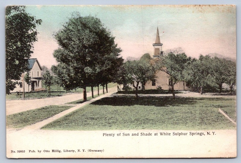 K64/ White Sulpher Springs New York Postcard c1910 Church Homes 88