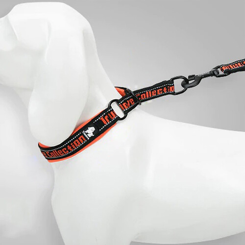 Truelove Hundehalsband Halsband 3M reflektierendes Nylon 6 Farben 8 Größen  - Bild 2 von 12
