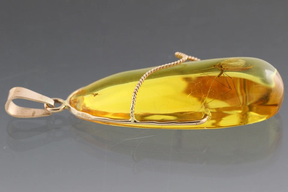 Genuino ÁMBAR BÁLTICO ORO 14K Colgante Insecto Fósil GRÚA MOSCA 4.4g 191126-13 Foto 3 de 4