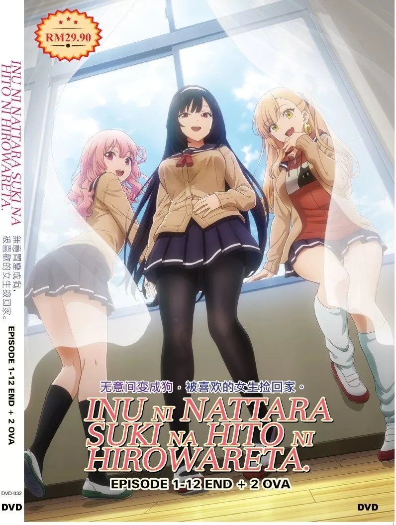 Watashi no Shiawase na Kekkon (VOL.1 - 12End) ~ English Dubbed & Subtitle ~  DVD