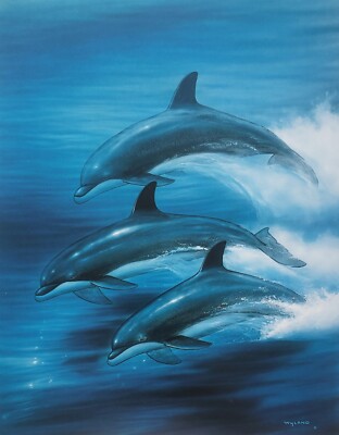 Wyland Trio of Dolphins ocean animal wall art home decoration
