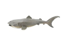 Megamouth Shark Hand Painted, Realistic Toy Figure, Model 6.5" CH170 BB112