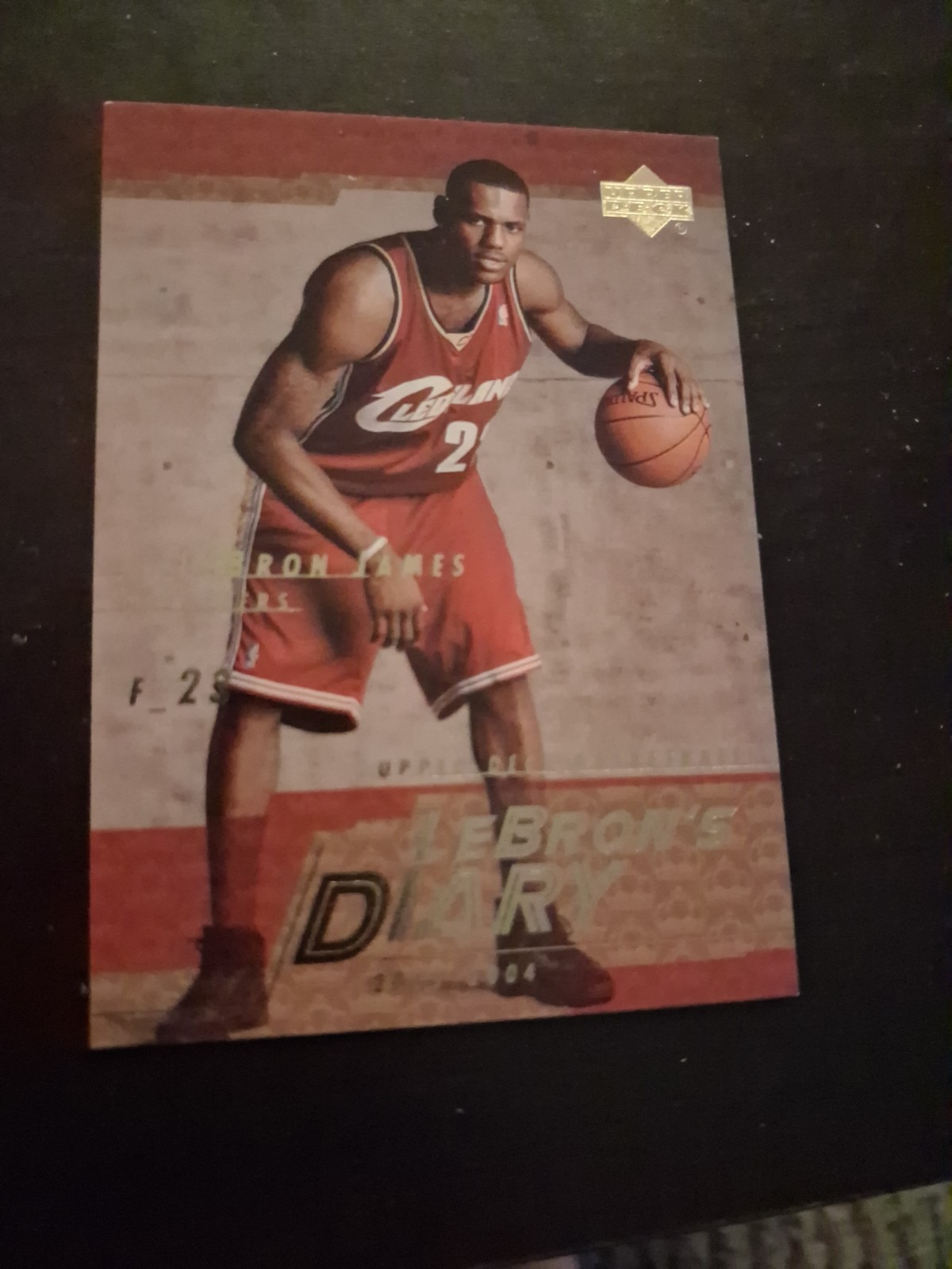 2003-04 Upper Deck - Lebron's Diary LeBron James #LJ13 (RC)