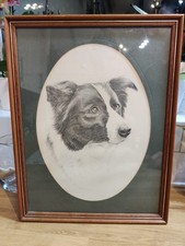 Vintage Pollyanna Pickering Collie Dog Sketch Print in Frame 17 x 13.25 inches