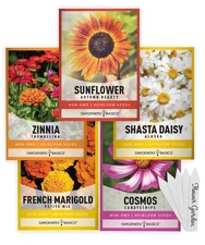 , Flower Garden Seeds for Planting Outdoors Flower Seeds (5 Variety Pack) Dai...