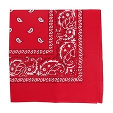 22 Inch Cotton Paisley Bandana Red