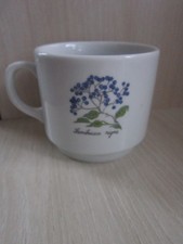 Seltmann Weiden, Teetasse, Kaffeebecher, Samb...