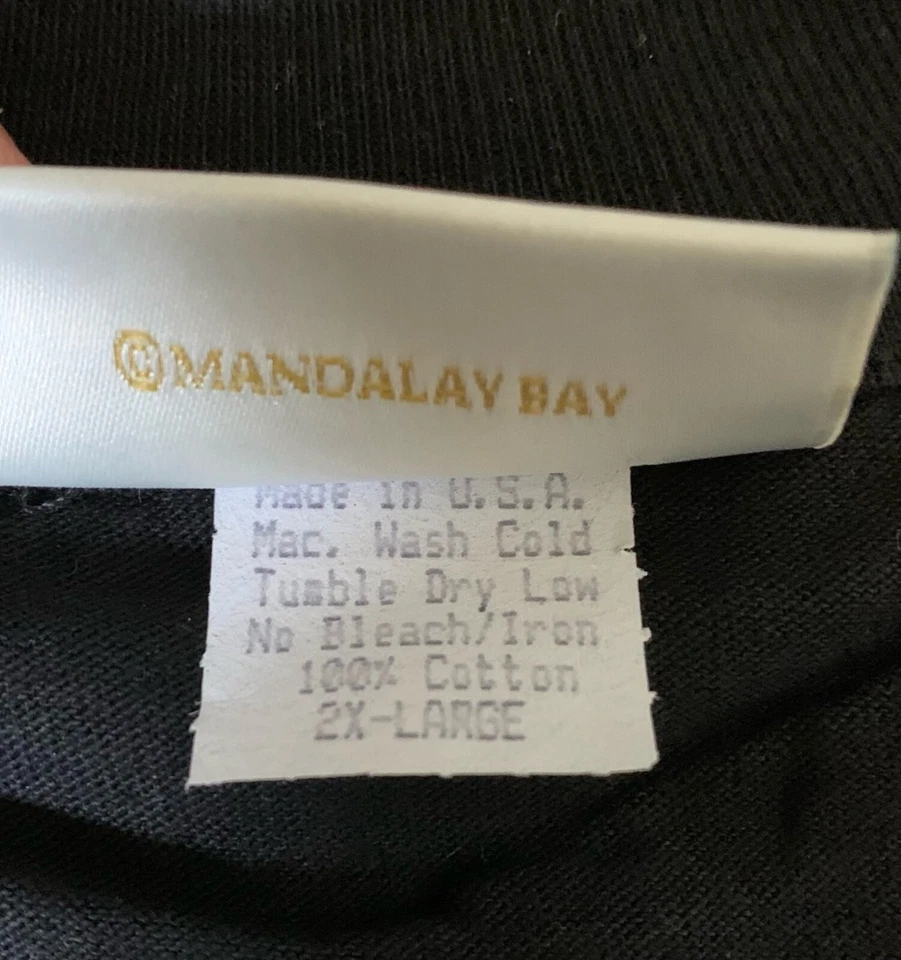 Vintage FLOYD MAYWEATHER OSCAR DE LA HOYA FURY IN THE DESERT ORIGINAL CHAMP TEE - Image 3 of 4