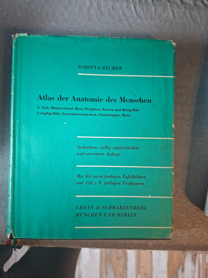 Sobotta -  Becher: Atlas der Anatomie des Menschen, 3. Teil, 16. Auflage