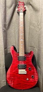 Prs 25th Anniversary Se Custom 24 | eBay