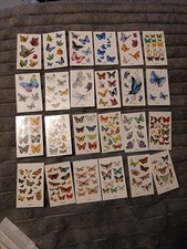 24 Sheets Of Butterfly Temporary Tattoos