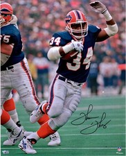 Buffalo Bills Collecting and Fan Guide 74