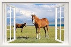 Fake Window Wall Mural - Horse Faux Window Wall Sticker for 48" x 32" Fw009