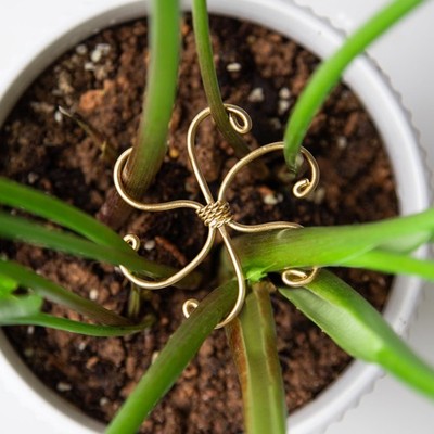 Monstera Plant Support Set - 5 Durable Stabilizers for Indoor Plants & Cactus