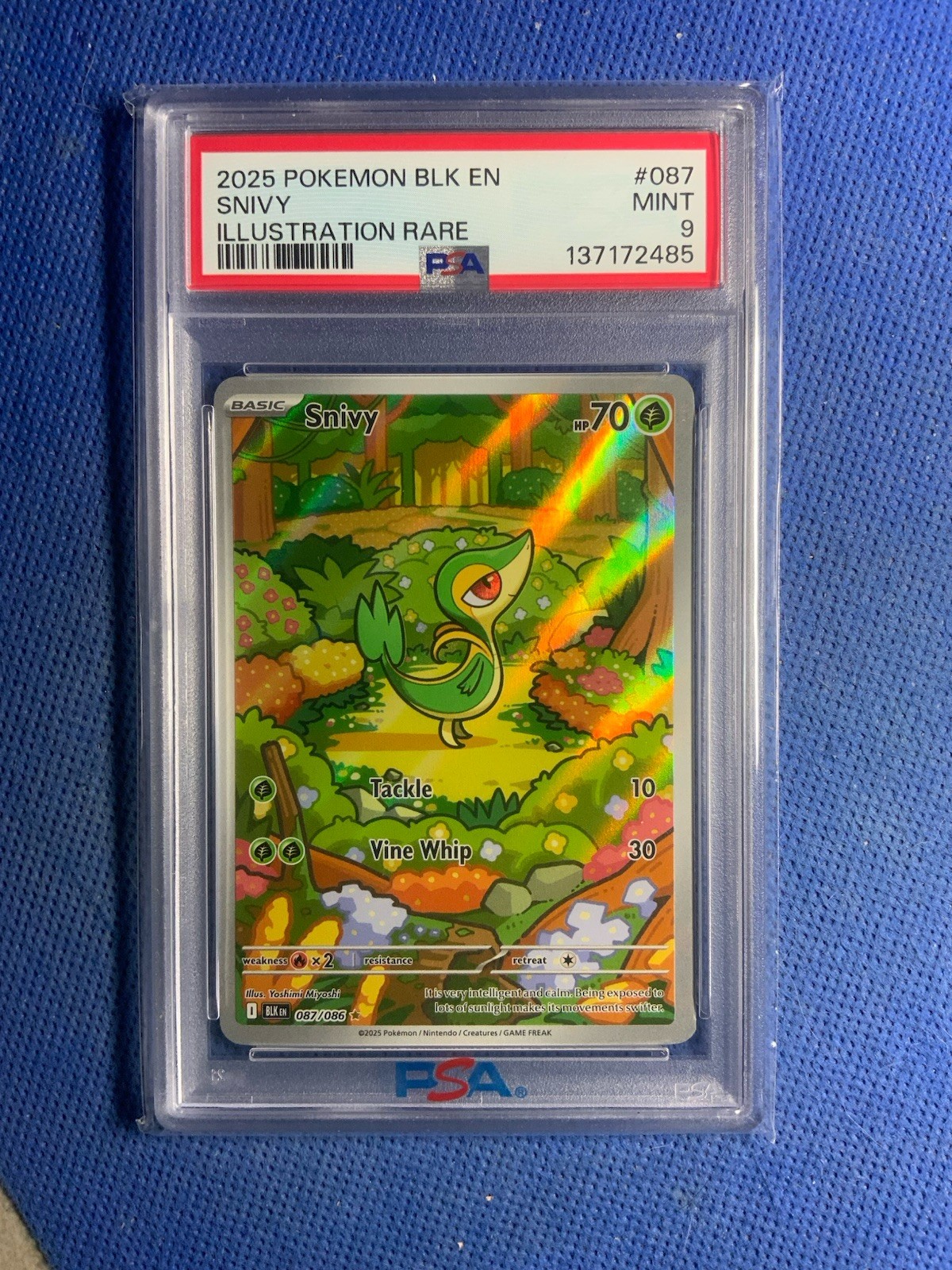 2025 POKEMON BLK EN-BLACK BOLT ILLUSTRATION RARE #087 SNIVY PSA 9