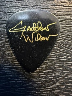 GRETCHEN WILSON #1 / TOUR GUITAR PICK