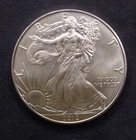 2012 - 1 oz American Silver Eagle .999 Fine Silver BU
