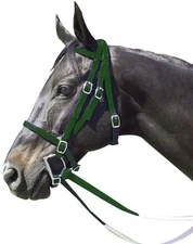 Intrepid International Exselle Horse Bridle - Durable Nylon Hunter Green 