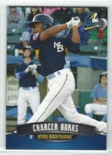 2016 Myrtle Beach Pelicans (Single-A Chicago Cubs) Charcer Burks