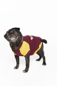 cheap dog clothes ebay